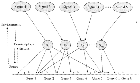 elements-of-transcription-networks.png